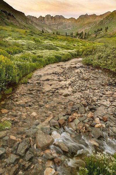 Jaynes Gallery 아티스트의 USA-Colorado Mountain landscape with wildflowers and stream작품입니다.